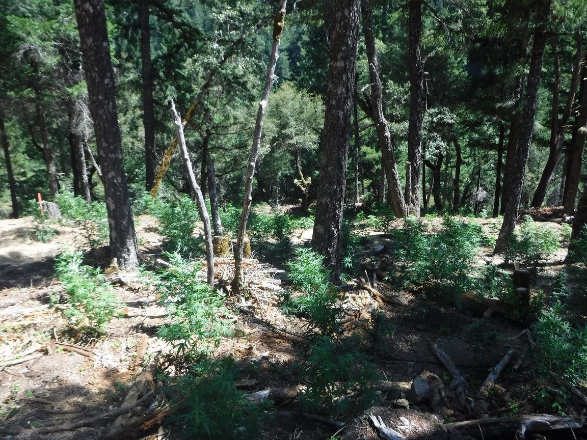 Search Warrant - Case 201603973